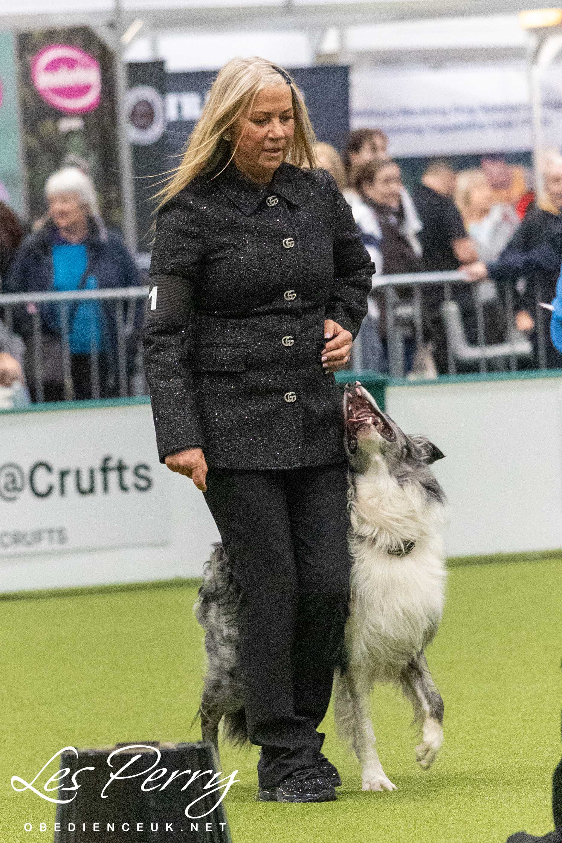 z25AH015
