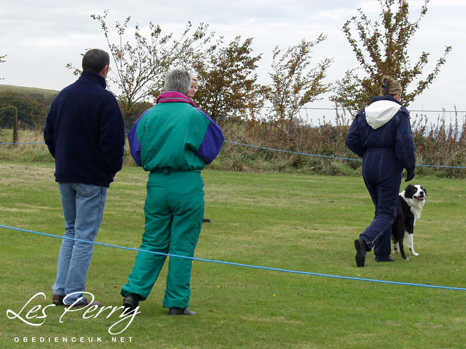 Picture 054