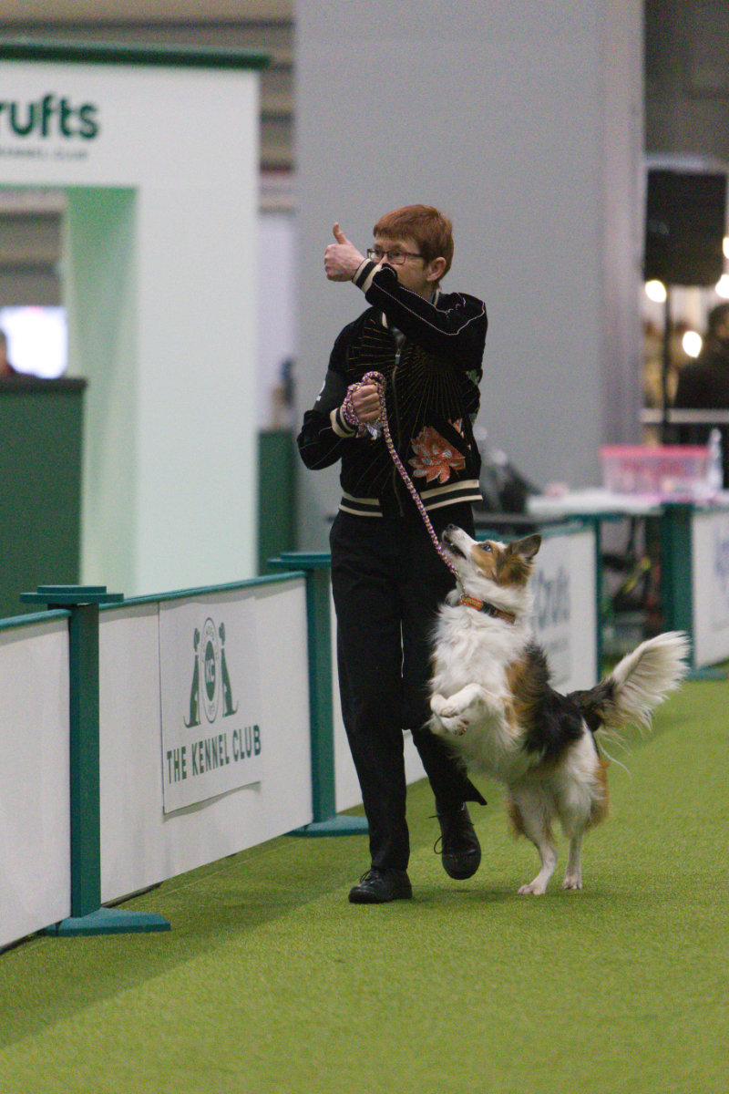 z23AM002