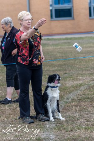 z25CA016