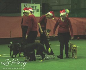 Picture 039