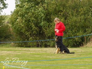 Picture 008