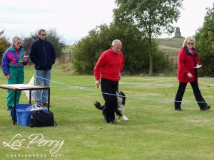 Picture 074