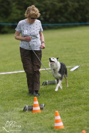 Nuneaton Rally Show