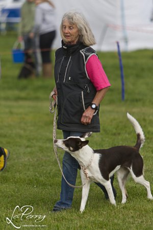 Worcester Open Show