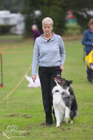 Birmingham GSDA