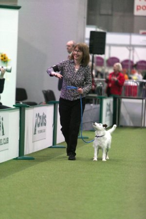 z22ak017
