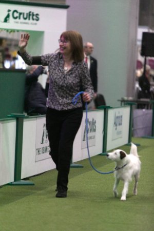 Crufts Dog Obedience Championship